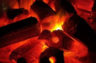 Charcoal Raw Material Inspection